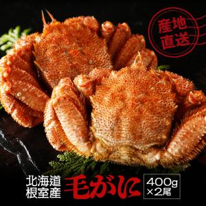 【BBQ特集】北海道 根室産 毛蟹 400g 2尾 毛ガニ 毛がに けがに カニ 蟹 かに 北海道産 海鮮 海産 プレゼント ギフト グルメ お祝い 姿
