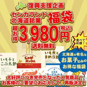 スナック菓子限定福袋北海道数量限定早い者勝ち【日付指定不可】支援復興ふっこうお菓子詰合せ期間限定在庫処分送料込人気有名ブランドお土産定番