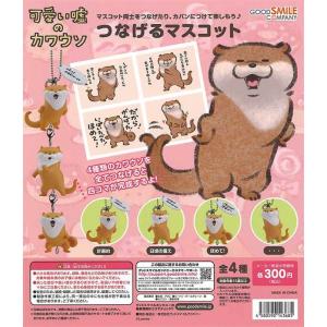 カワウソ×ハンギョドン】可愛い嘘のカワウソ×サンリオキャラクターズ