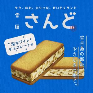 雪塩さんど (6個入) 送料無料 レターパック 沖縄お土産 土産 グルメ お菓子 スイーツ 焼き菓子 雪塩 サンド 塩 しお ソルト ホワイトチョコ プレゼント