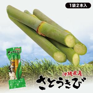 サトウキビ さとうきび (2本入)  沖縄お土産 沖縄