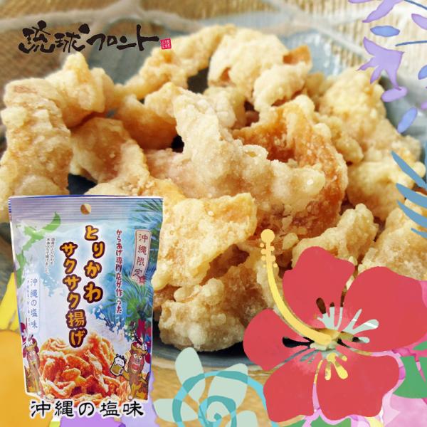 とりかわ サクサク揚げ 沖縄の塩味 25g 2個セット 沖縄 お土産 ギフト プレゼント おやつ お...