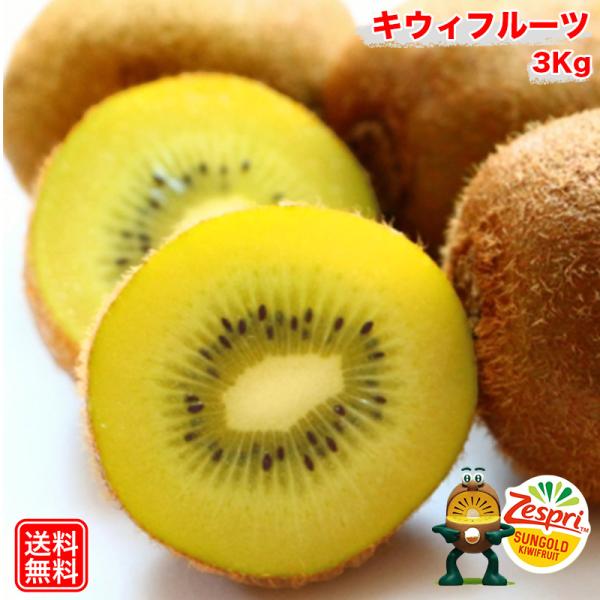 キウイフルーツ ゼスプリ サンゴールド 3kg キウィ ニュージーランド産 ゼスプリ サンゴールド ...