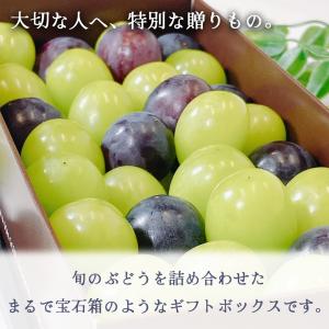ぶどう フルーツギフト きらめきギフト 650...の詳細画像2