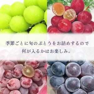 ぶどう フルーツギフト きらめきギフト 650...の詳細画像3