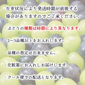 ぶどう フルーツギフト きらめきギフト 650...の詳細画像5