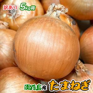 TVで特集された淡路の玉ねぎ 5kg 玉ねぎ 淡路島 訳あり 兵庫県産 淡路島の玉ねぎ S〜2Lサイズ 約5kg 淡路の玉ねぎ あわじの玉ねぎ たまねぎ 爆買
