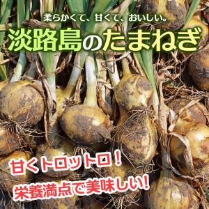 TVで特集された淡路の玉ねぎ 5kg 玉ねぎ ...の詳細画像1