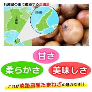 TVで特集された淡路の玉ねぎ 5kg 玉ねぎ ...の詳細画像2