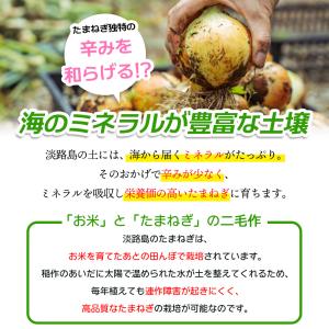 TVで特集された淡路の玉ねぎ 5kg 玉ねぎ ...の詳細画像4