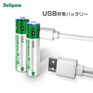 「WASHODO」DELIPOW 単四 2本セット USB充電式電池 1.5V 1000mWh リチウム イオンバッテリー USBケーブル 安心保証付き[800-0118C]