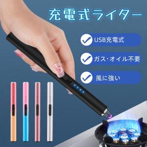 電子ライター USB充電　プラズマライター type-c充電式 アークライター ガス不要　無炎　防風 スリム アウトドア おしゃれ キャンプ　BBQ　安全設計