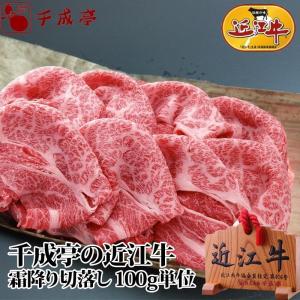 牛肉 肉 焼肉 和牛 「近江牛 霜降り 切落し 100g単位」