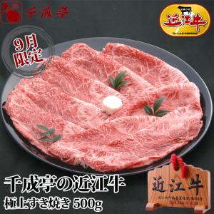 牛肉 肉 和牛 近江牛 極上すき焼き 500g 御祝 内祝 ギフト