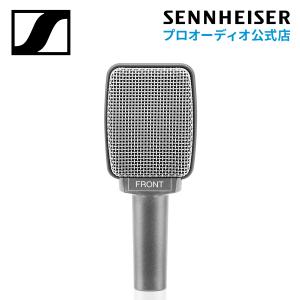 Sennheiser ゼンハイザー E 609 SILVER ダイナミック スーパーカーディオイド ギターアンプ 500074 メーカー保証2年 国内正規品｜sennheiser-proaudio