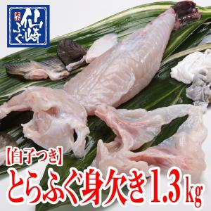 とらふぐ　ふぐ白子　白子付きとらふぐ身欠き1.3kgサイズ　冷蔵　干しひれ付き