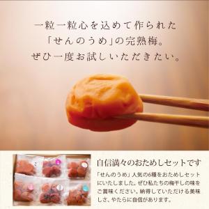 梅干し お試し セットC 初回限定 340g ...の詳細画像3