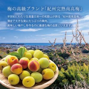 梅干し 訳あり つぶれ梅 はちみつ梅 旨まろ梅...の詳細画像4
