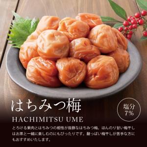 梅干し 訳あり 超大粒 はちみつ梅 750g ...の詳細画像4