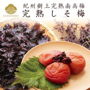梅干し しそ梅 1kg 紫蘇梅 国産しそ 梅干...の詳細画像2