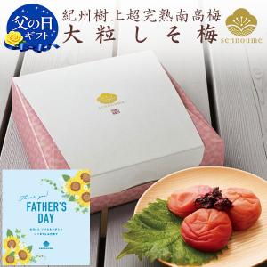 お中元 2026 梅未来 富之助のあまうめ 12個入 佐々木農園 のし対応可