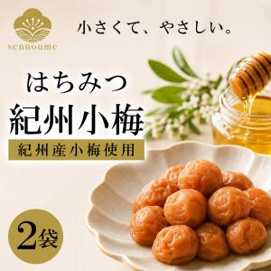 種抜き梅干し はちみつ 梅干し 種なし 梅 (D) : メガストア Yahoo!店