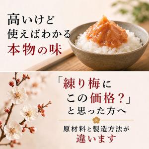 練り梅 ねり梅 梅干し 1本 練梅 南高梅 1...の詳細画像2