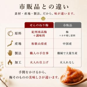 練り梅 ねり梅 梅干し 1本 練梅 南高梅 1...の詳細画像4