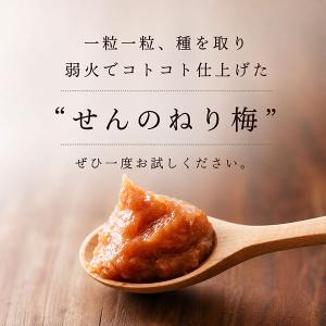 練り梅 ねり梅 梅干し 1本 練梅 南高梅 1...の詳細画像5