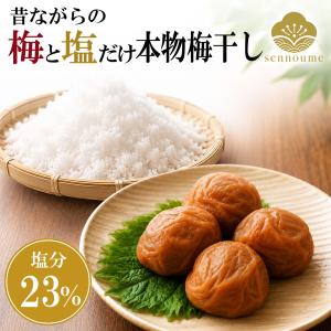 正規品】チャートラムー チャーポン タイティーミックス ティーバッグ