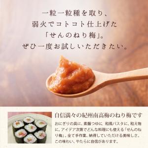 練り梅 ねり梅 梅干し 4本 梅肉 梅干し 南...の詳細画像2