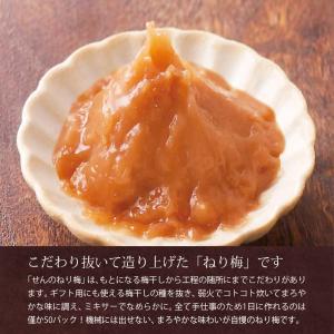 練り梅 ねり梅 梅干し 4本 梅肉 梅干し 南...の詳細画像3