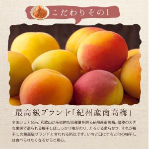 練り梅 ねり梅 梅干し 4本 梅肉 梅干し 南...の詳細画像4