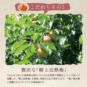 練り梅 ねり梅 梅干し 4本 梅肉 梅干し 南...の詳細画像5