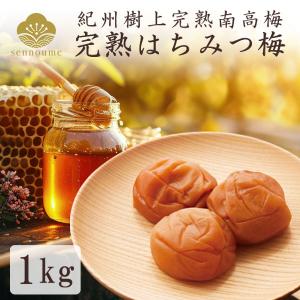 2袋セット】美爽煌茶 (びそうこうちゃ) : こりき丸 - 通販 - Yahoo