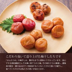 お中元 御中元 2026 梅干し プレゼント ...の詳細画像5