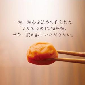 はちみつ梅 梅干し 400g うめぼし 紀州 ...の詳細画像5