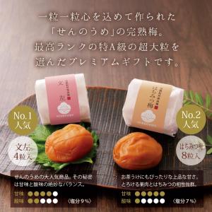 お中元 ギフト 梅干し 個包装 梅ごこち 12...の詳細画像1