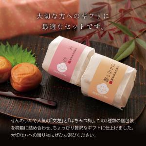 お中元 ギフト 梅干し 個包装 梅ごこち 12...の詳細画像2