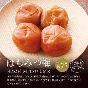 お中元 ギフト 梅干し 個包装 梅ごこち 12...の詳細画像5