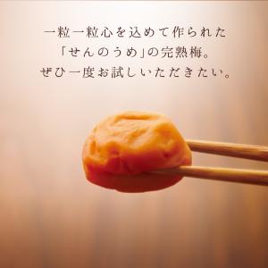 梅干し ギフト プレゼント 二種詰合せギフト ...の詳細画像4
