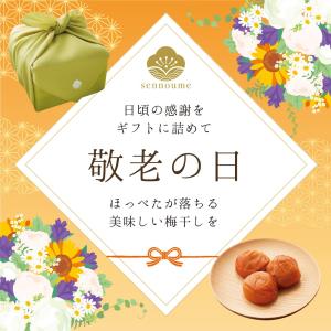 敬老の日 ギフト 2026 梅干し 限定品A ...の詳細画像1
