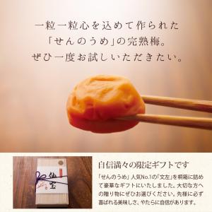 敬老の日 ギフト 2026 梅干し 限定品A ...の詳細画像3