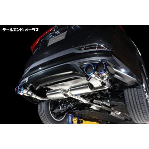 BLITZ ブリッツ マフラー NUR-SPEC CUSTOM EDITION StyleD