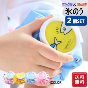 氷のう 氷嚢 ひょうのう 2個セット スポーツ アイシング