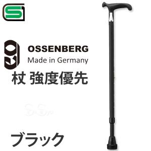 アイウォークフリー iWALKFree 3.0 ハンズフリー 松葉杖 1本 アルミ