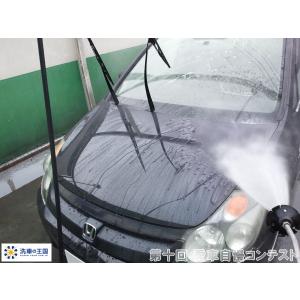 第十回愛車自慢コンテスト ホンダ ストリーム ...の詳細画像2