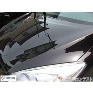 第十回愛車自慢コンテスト マツダ プレマシー ...の詳細画像5
