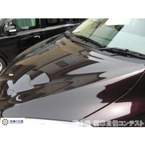 第十回愛車自慢コンテスト マツダ プレマシー ...の詳細画像4