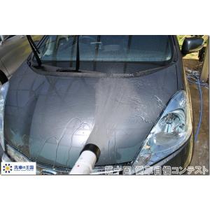 第十回愛車自慢コンテスト ホンダ フィットシャ...の詳細画像2